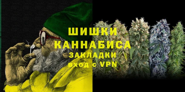 PSILOCYBIN Кодинск