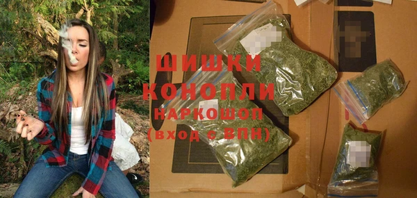 PSILOCYBIN Кодинск