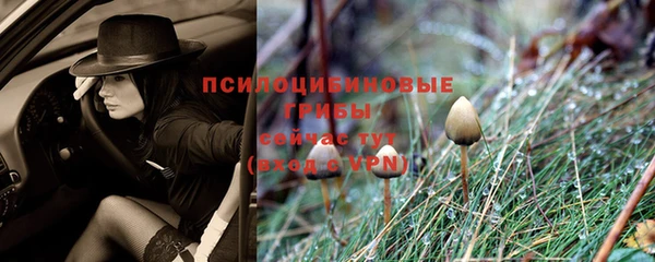 герыч Козловка