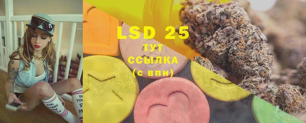 PSILOCYBIN Кодинск
