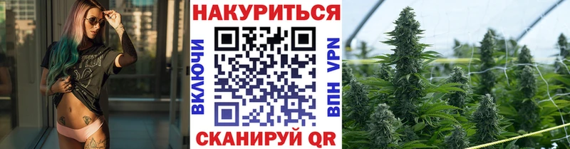 Купить где  Сорск  Канабис сатива 